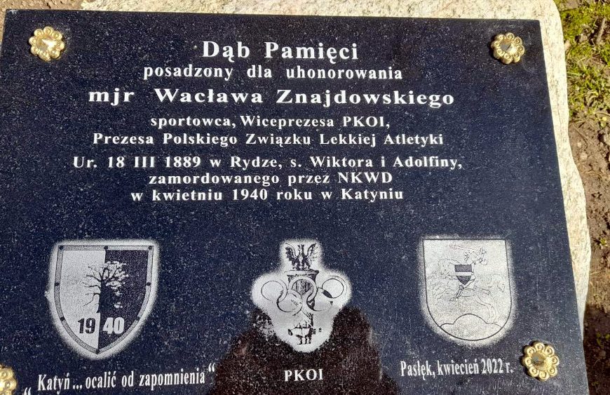 Dąb pamięci majora Wacława Znajdowskiego w Pasłęku