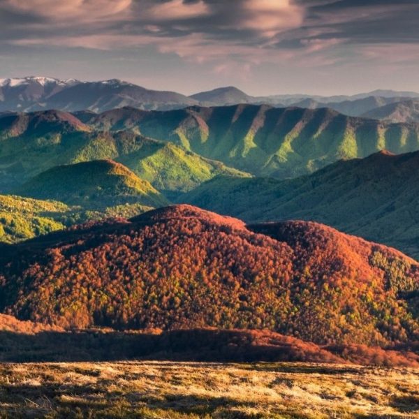 Podkarpackie. Dobry kierunek!