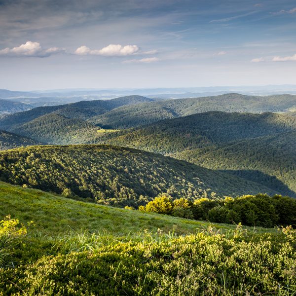 5 powodów by odwiedzić Podkarpackie