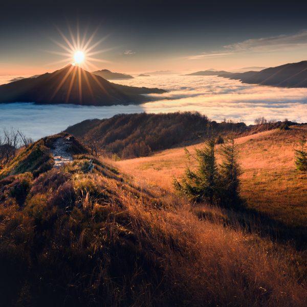 Dzika przyroda – bezcenny skarb Podkarpacia