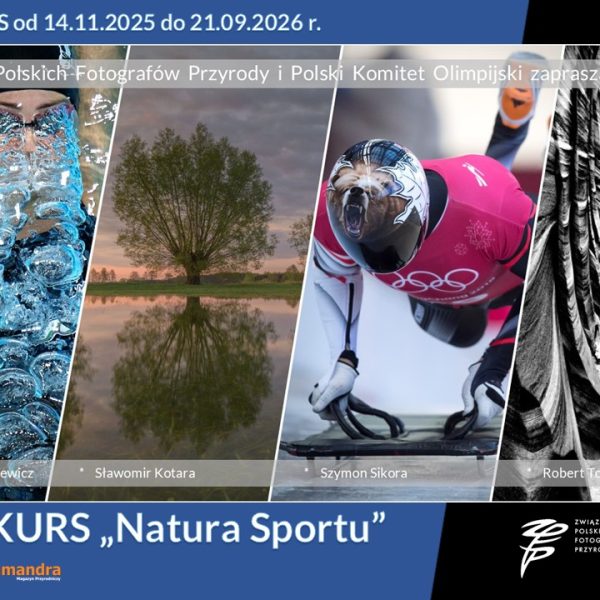Konkurs „Natura Sportu” pod Patronatem Polskiego Komitetu Olimpijskiego