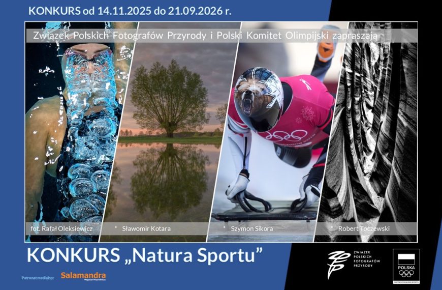 Konkurs „Natura Sportu” pod Patronatem Polskiego Komitetu Olimpijskiego